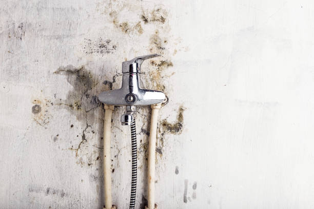 Best Residential Mold Remediation in Coleman, TX