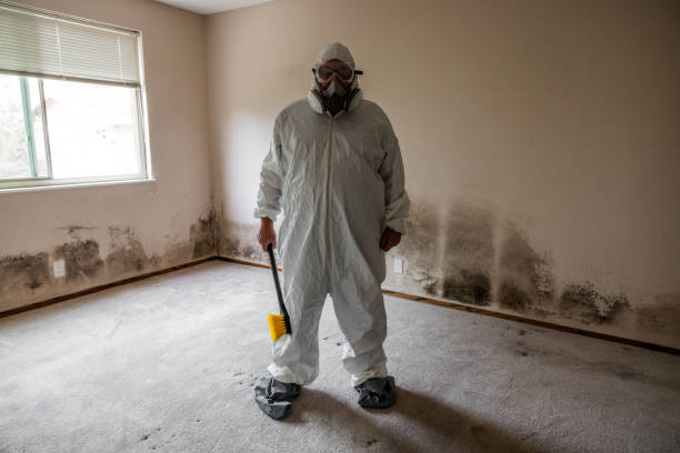 Best Residential Mold Remediation in Coleman, TX